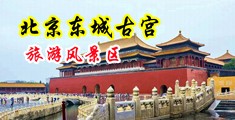 艹操艹逼中国北京-东城古宫旅游风景区