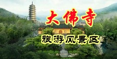 操女人骚穴的视频网站中国浙江-新昌大佛寺旅游风景区